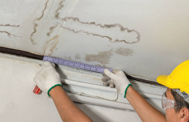 Reliable Water Damage Restoration contractor in Fort Gratiot, MI by Water Damage Irwin